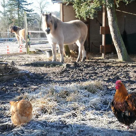 Apartmán Mirabellenhof-fewo Mit Terrasse Biesenthal