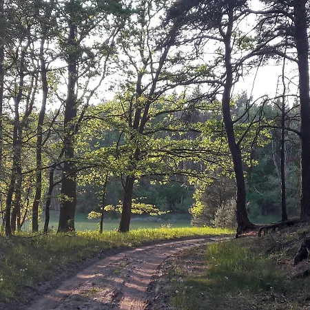 Mirabellenhof-fewo Mit Terrasse
