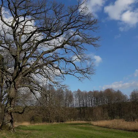 Mirabellenhof-fewo Mit Terrasse *