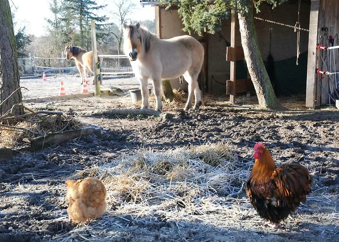 Διαμέρισμα Mirabellenhof-fewo Mit Terrasse Biesenthal