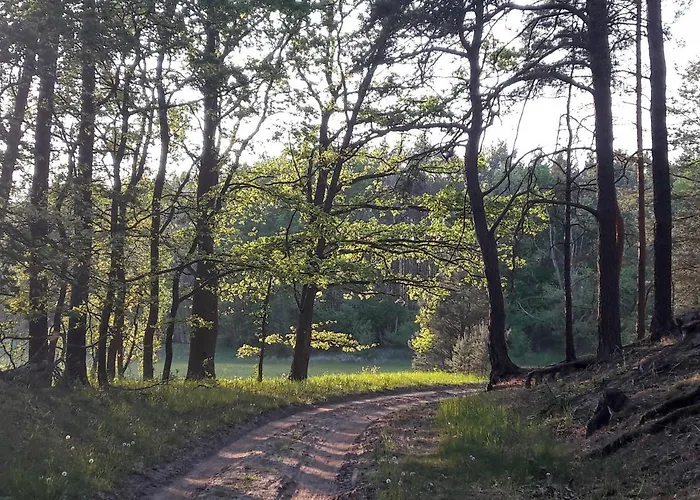 Mirabellenhof-fewo Mit Terrasse