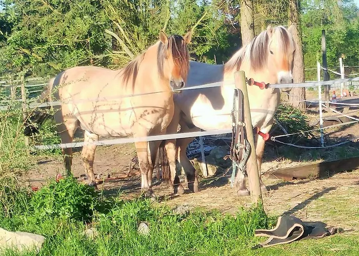 Διαμέρισμα Mirabellenhof-fewo Mit Terrasse Biesenthal