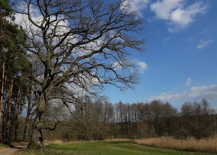 Mirabellenhof-fewo Mit Terrasse *